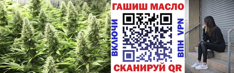 Купить где  Заводоуковск  ТГК вейп 