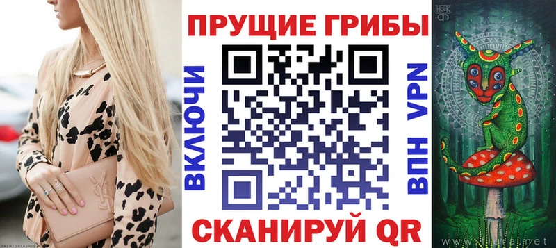 Купить где  Заводоуковск  Галлюциногенные грибы Psilocybine cubensis 